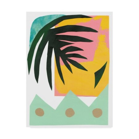 Renee W. Stramel 'South Beach Palm Ii' Canvas Art,35x47